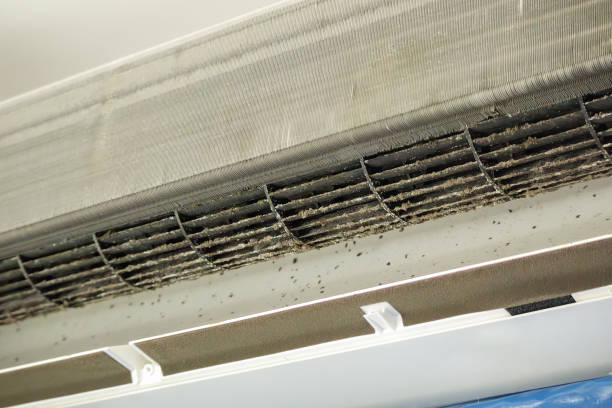 Best Best Air Duct Cleaning Company  in Fairview, UT